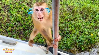 "Dad! Don't go, take me back to you" That was the heartbreaking voice of Monkey Kaka