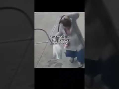 Entendi foi nada #humor #comedia #viral #luamboer