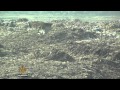 Waste Management Challenges and Solutions