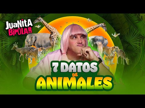 JUANITA BIPOLAR - 7 datos sobre Animales