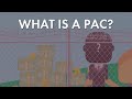 Political Action Committees and Campaign Finance