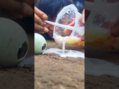 Watch what happens next, pouring a little juice in front of the mysterious egg #millipede