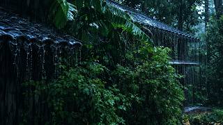 Reduce Stress And Anxiety With Calming Sounds Of Pouring Rain | Best Rain Sounds For Sleeping #01