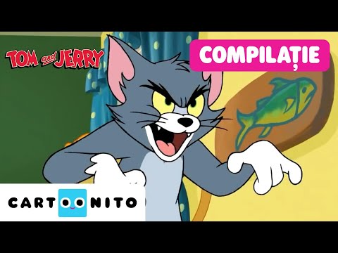Cele mai bune momente din Tom și Jerry – Compilație amuzantă clasică | Tom și Jerry | Cartoonito