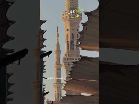 Status Video - Zair e Taiba Roze Pe Jaa Kar - Hafiz Tahir Qadri