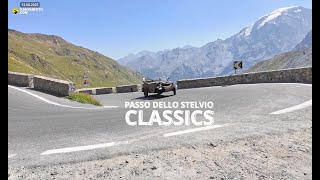 Stelvio Pass - Classics