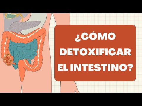 Métodos EFECTIVOS para DESINTOXICAR TU INTESTINO 🥝 Dr. Domingo Pérez León