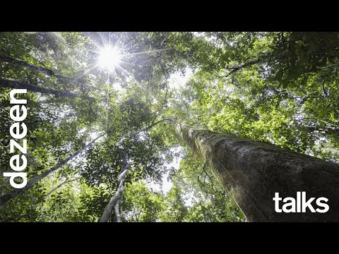 Watch our talk with the Timber Trade Federation on the benefits of using tropical timber | Dezeen