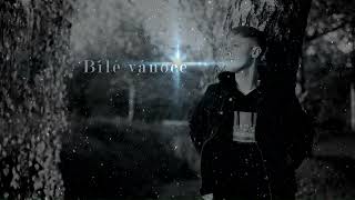 Karel Gott - Bílé vánoce