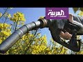 Biofuel Production and Impact