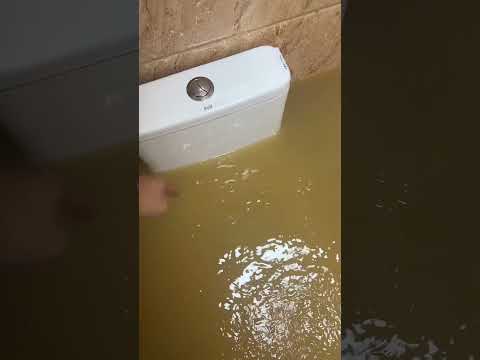 Khi lũ tới làm ngập hết các phòng
