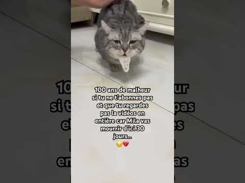 Je vous en supplie 🙏