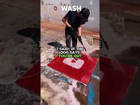 🐶 My Dog Knew Something Was Wrong… and Saved My Life 😳 #RedditStories