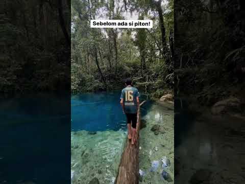 SUNGGUG MENGERIKAN #adekrismoyo #sungai #video #youtubeshorts #shorts