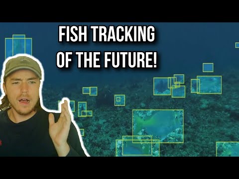 New AI Could Change Fish Researching FOREVER!! Support Me Directly_ https_//www.patreon.com/avnj
Watch Me Live_ https_//www.twitch.tv/AVNJOfficial
