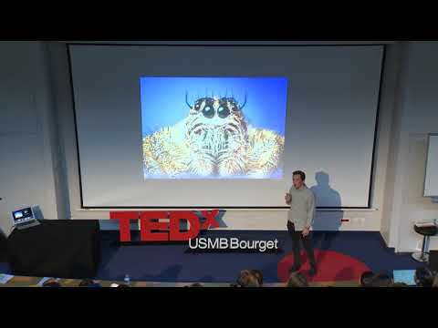 La conjuration des effrayés | Clément Saillet | TEDxUSMBBourgetDuLac