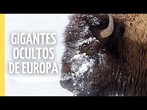 Gigantes Ocultos de Europa: Un Viaje por las Tierras Salvajes Olvidadas | Episodio Completo