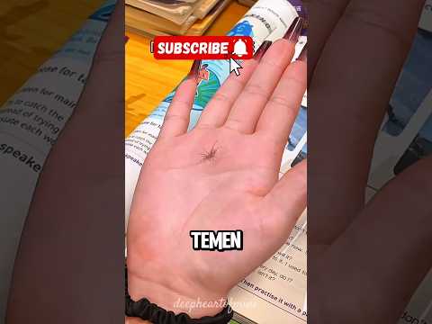 Trik Pukul-Pukulan Halal di Kelas 😂 Wajib Coba! |#shorts #viralvideo #seru