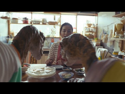 カロリーメイト CM｜「怪獣たちとの夏休み」篇15秒