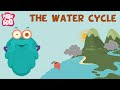 Water Cycle Processes and Concepts
