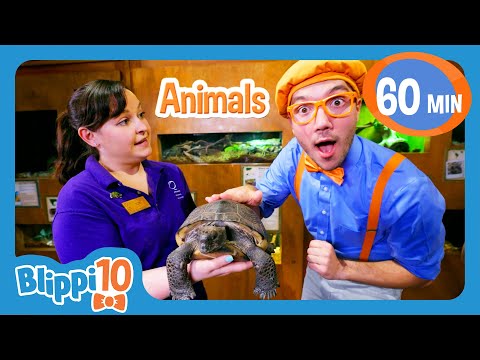 Top 10 BEST Animals | Blippi | Shows for Kids - Explore With Me!