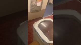 Air India business class glimpse #airindia #airindiaflight