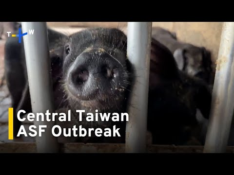 YouTube video thumbnail: African Swine Fever Outbreak Likely Caused By Improperly Cooked Feed