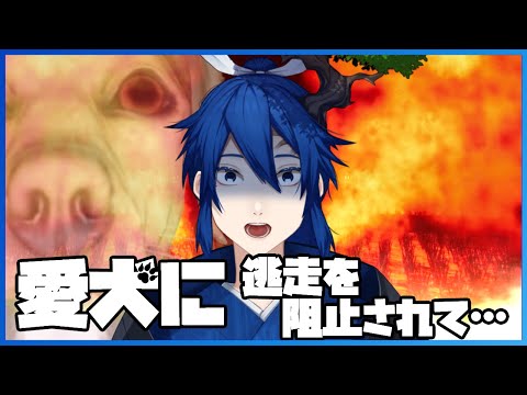 thumbnail_nc_WjJX-II8