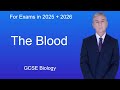 Blood Components and Functions