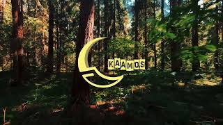 Olen otettu. KAAMOS palaa kesällä uudistettuna. Kiitos siitä teille.