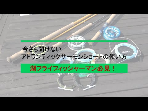 湖フライフィッシャーマン必見のアトランティックサーモン・ショートの解説です。Vol.1は豊富なラインナップが揃う「シンクレート」について。