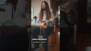 Hawk Is A Mule | Andrew Marlin Artist Month #mandolin #andrewmarlin