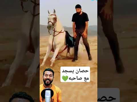 حصان يسجد مع صاحبه #سبحان_الله #shorts