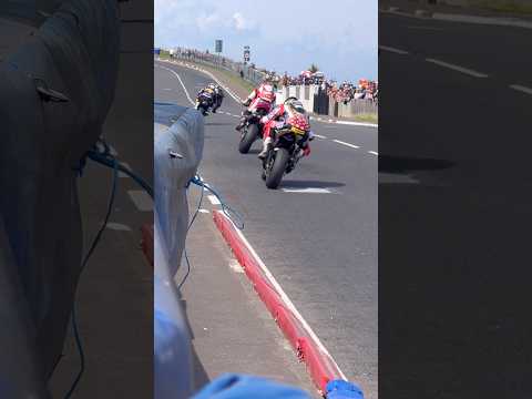 RAW Horse Power Wrestling