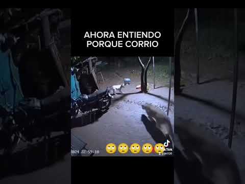 ☠ CORRE FIRULAIS ☠ #miedo #animales