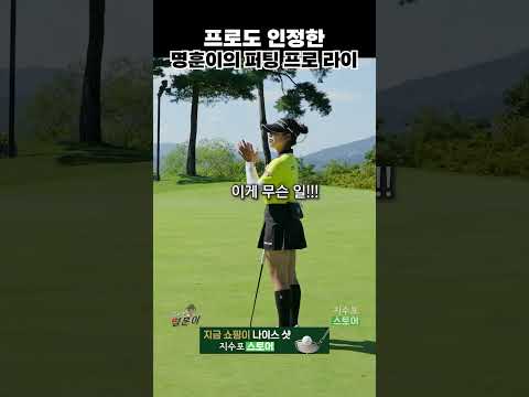 아마추어 명훈이의 프로 라이