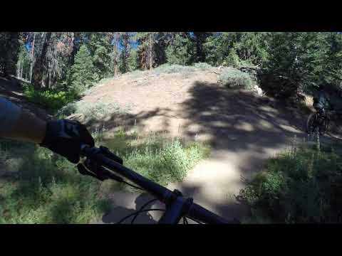 Downhill through Piños