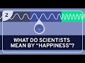 Understanding Happiness Measurement and Perception