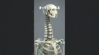 これ普通にやってる人多いと思う😨#雑学 #人体 #豆知識 #知らないと損