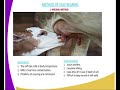 Calf Rearing Methods and Techniques