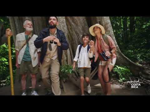 Essential Costa Rica: Birdwatching