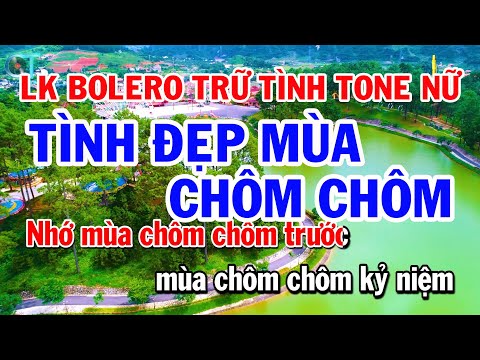 Liên Khúc Bolero Trữ Tình Tone Nữ – Tình Đẹp Mùa Chôm Chôm – Sầu Tím Thiệp Hồng