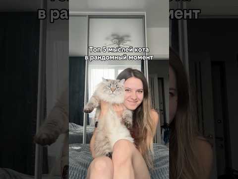 Топ 5 мыслей кота в рандомный момент 😅