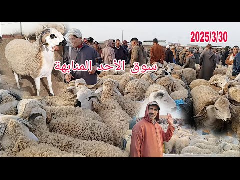 مباشره من سوق الأحد المنابهة باقليم مراكش بتاريخ 2025/3/30 مع أتمنة سوق والله يرحمنا برحمته الواسعه