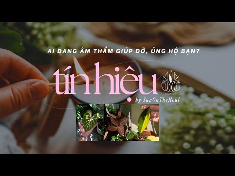 Ai đang âm thầm giúp đỡ, ủng hộ bạn? 🔮 chọn một tụ bài ☀️ timeless - tarot, oracle