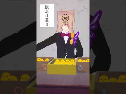 thumbnail_ndBQfOHsoOo