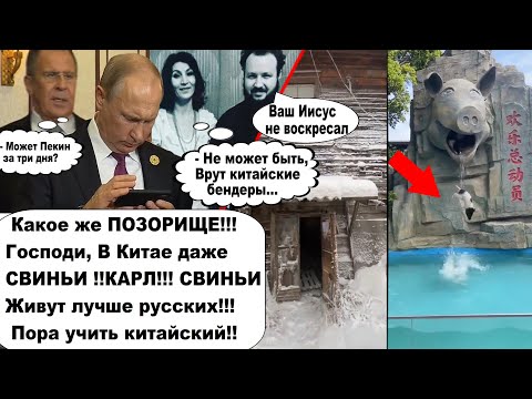 И Россия еще хочет управлять миром! В Китае даже поросята живут лучше, чем великие россияне