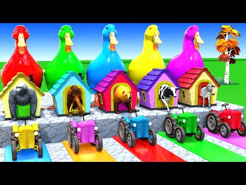 Long Slide Game with Cow Elephant Gorilla Hippopotamus Tiger 3d Animal Game Funny 3d Animals