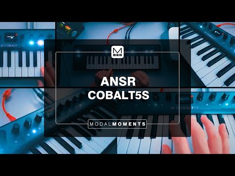 ANSR Live Jam on COBALT5S