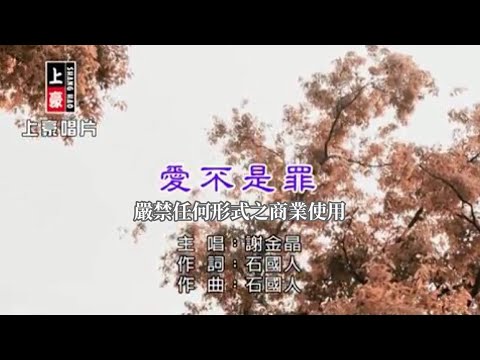 謝金晶-愛不是罪【KTV導唱字幕】